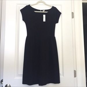 J. Crew Winnie Dress